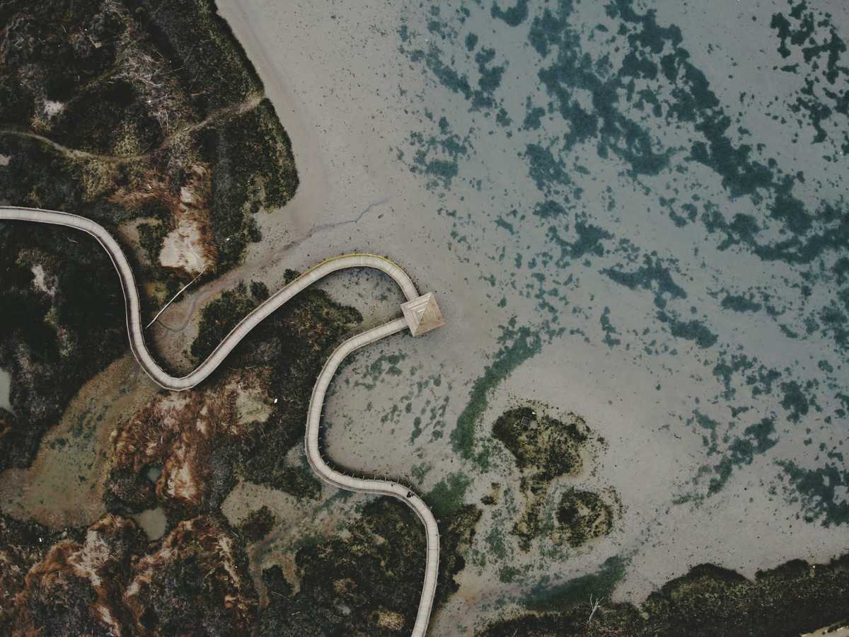 10 Binge-Worthy Art Podcasts in the Age of Coronavirus
