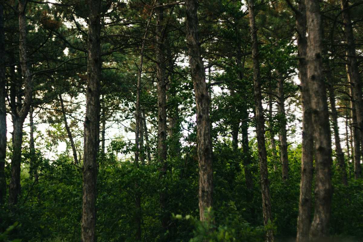 5 new standout safari camps image003