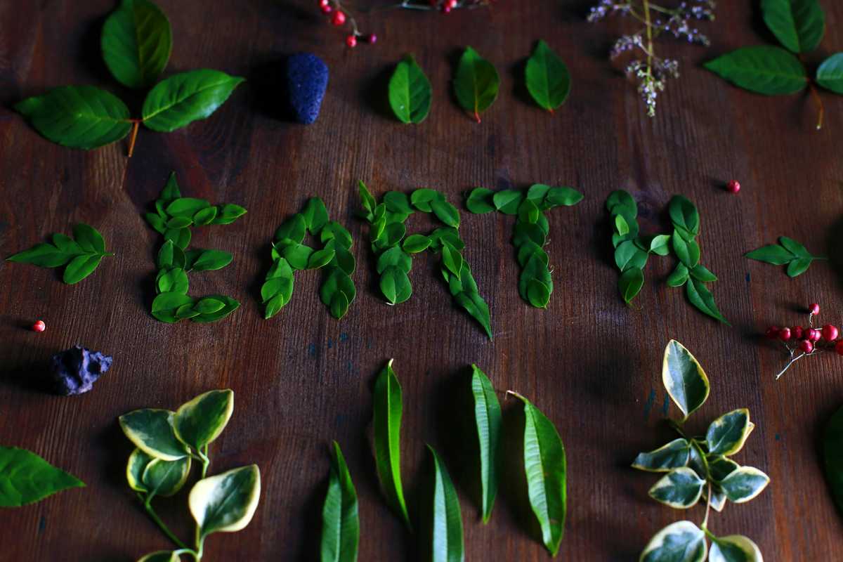 A Boom Time for the Bean Industry
