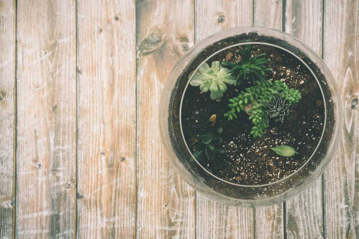 a former f b i negotiator and his tips for travel image002