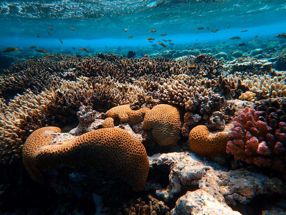 a scientist puts things in perspective image002