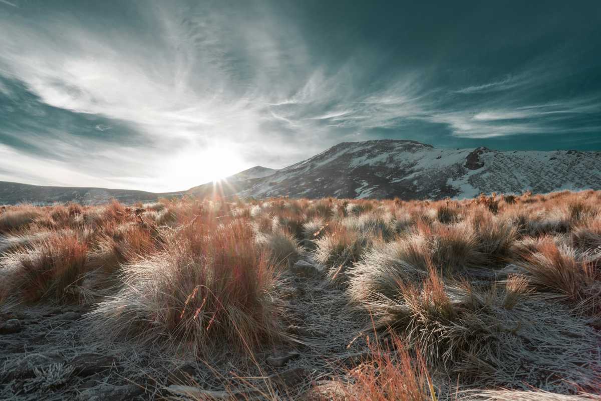 An isolated life: Astronauts, Antarctic doctors and climbers share their advice