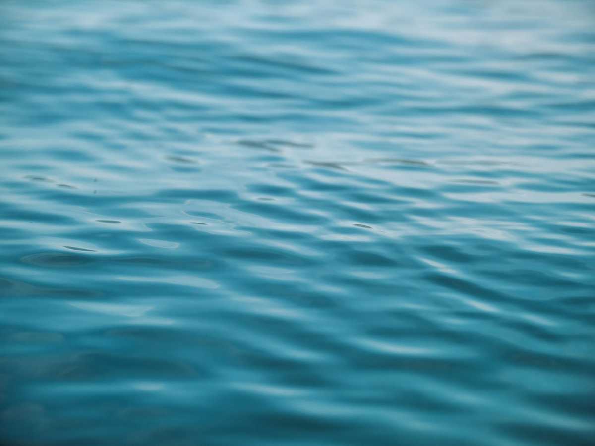 at least 60 migrants are found dead in a truck in mozambique image002