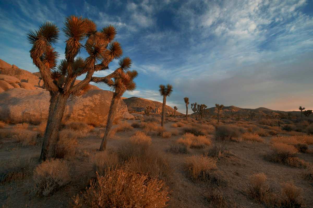 Big-Name Hotels Go Empty and Smaller Owners Are Hurt