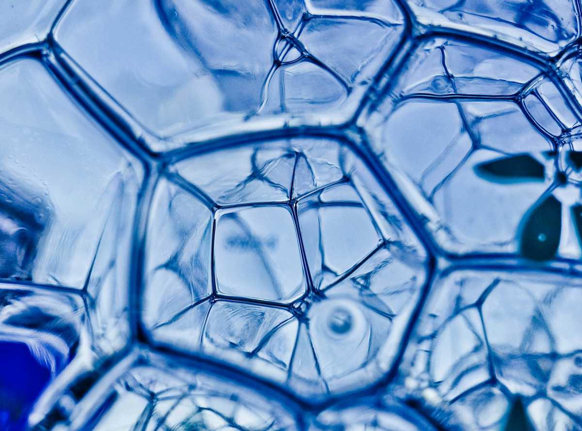 Citing Coronavirus, Ivy League Cancels Basketball Tournaments