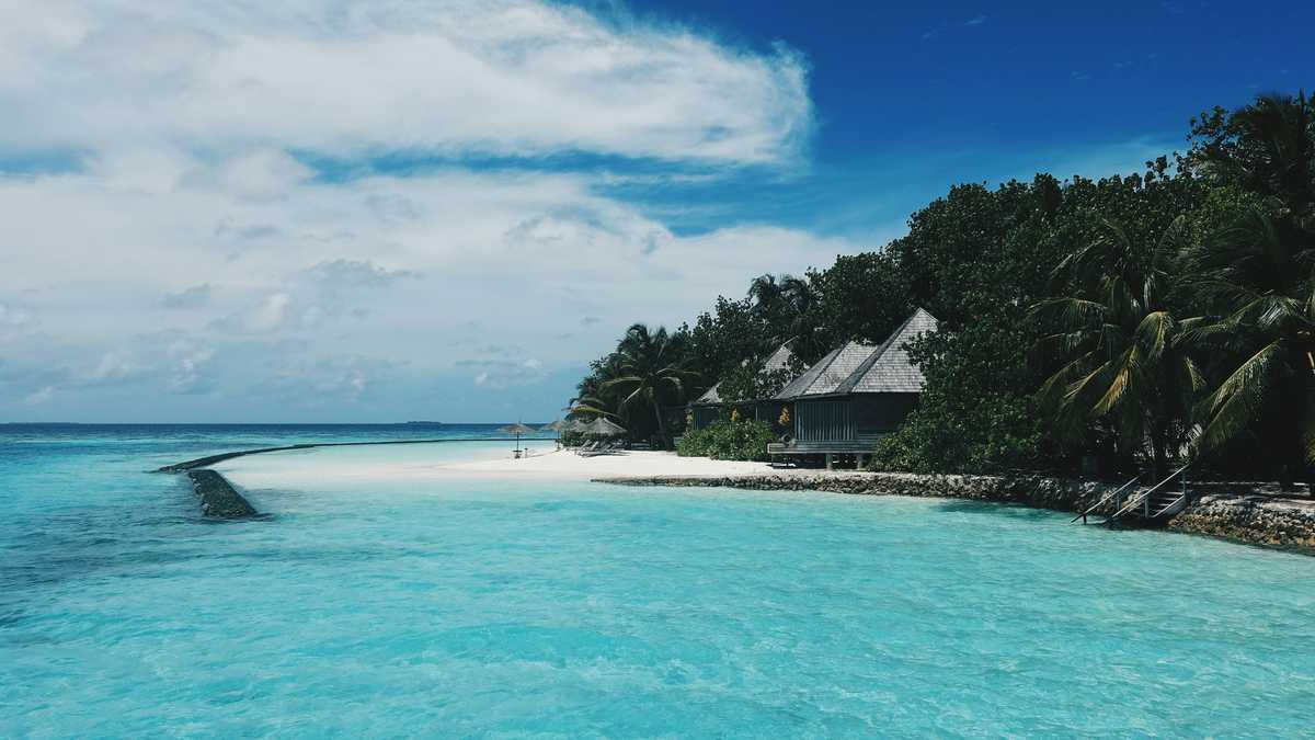 coronavirus cruise industry proposes travel ban for people over 70 image003