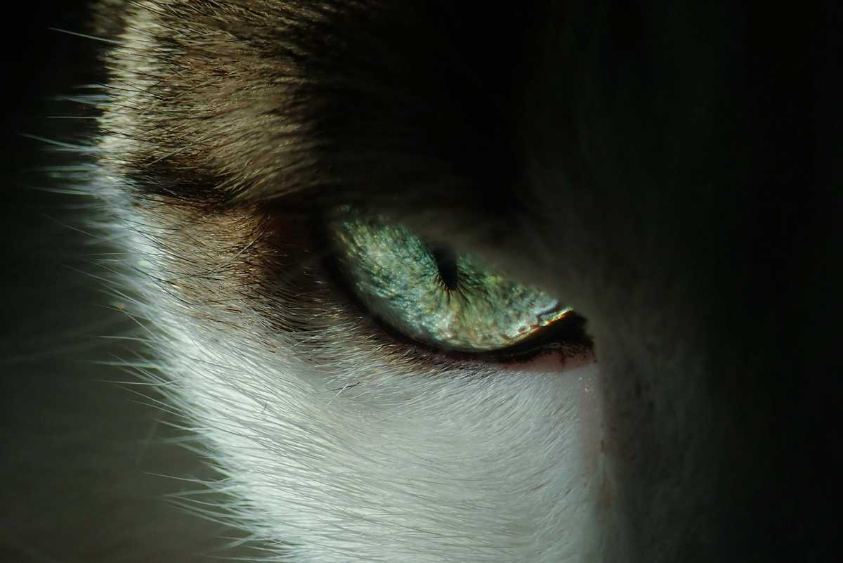 coronavirus in japan can the economy get any worse it may soon find out image003