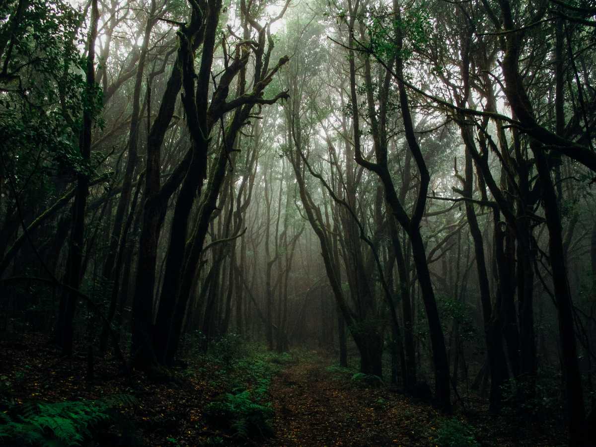 coronavirus predictions the pandemic is bringing a plague of dangerous doomsday warnings image002