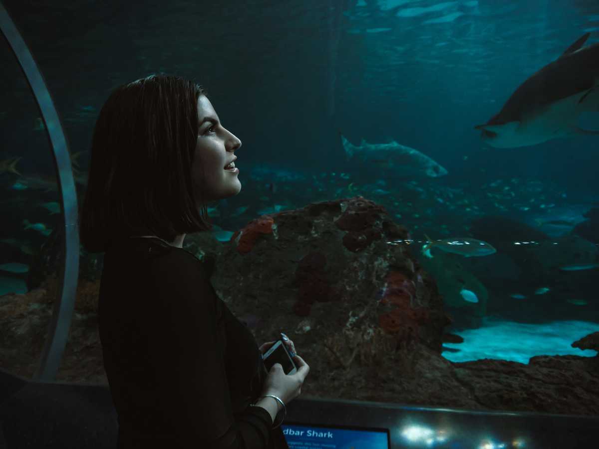 d i y coronavirus solutions are gaining steam image003
