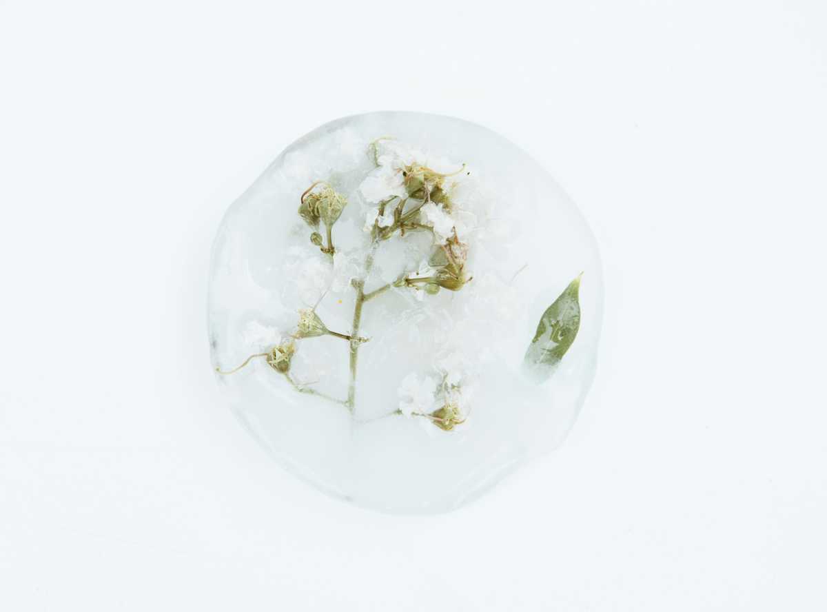 Dirty Projectors Also Covered John Lennon, Thankfully, and 10 More New Songs