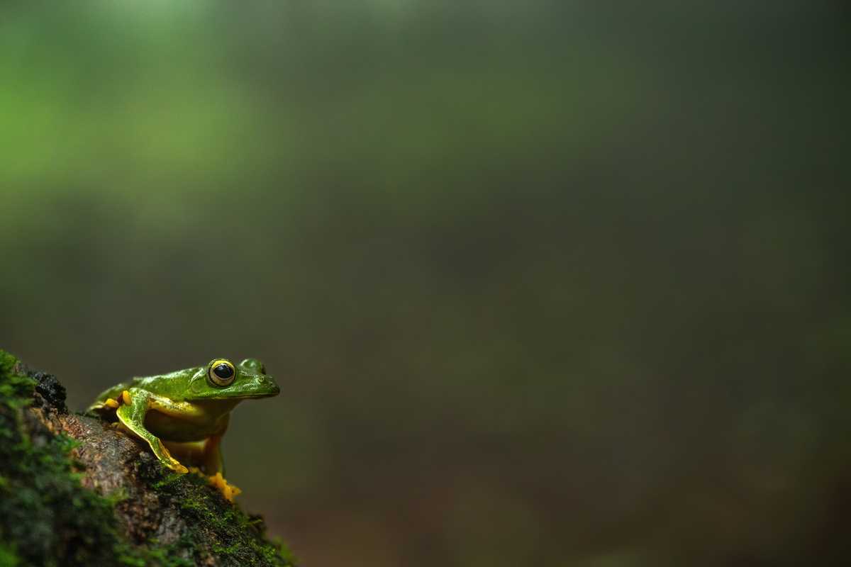 facebook is the latest to pull out of a major industry conference as coronavirus fears batter travel industry image003
