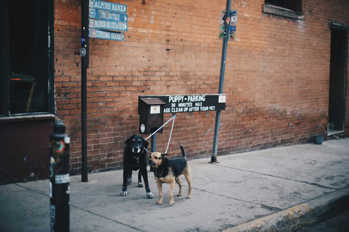 For Future Generations, It’s Time to Reflect on Black Art