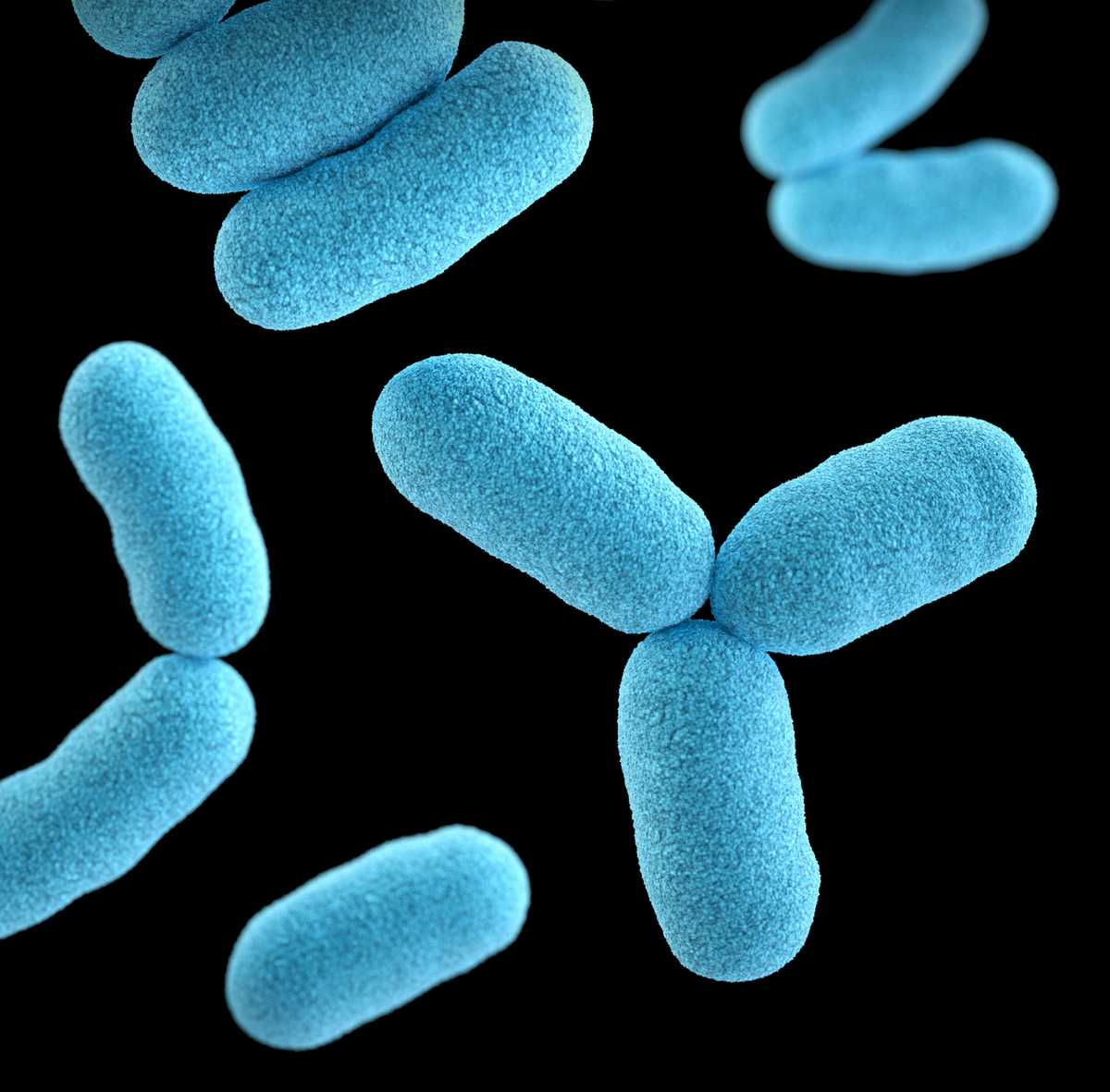 kevin durant says he has tested positive for the coronavirus image002