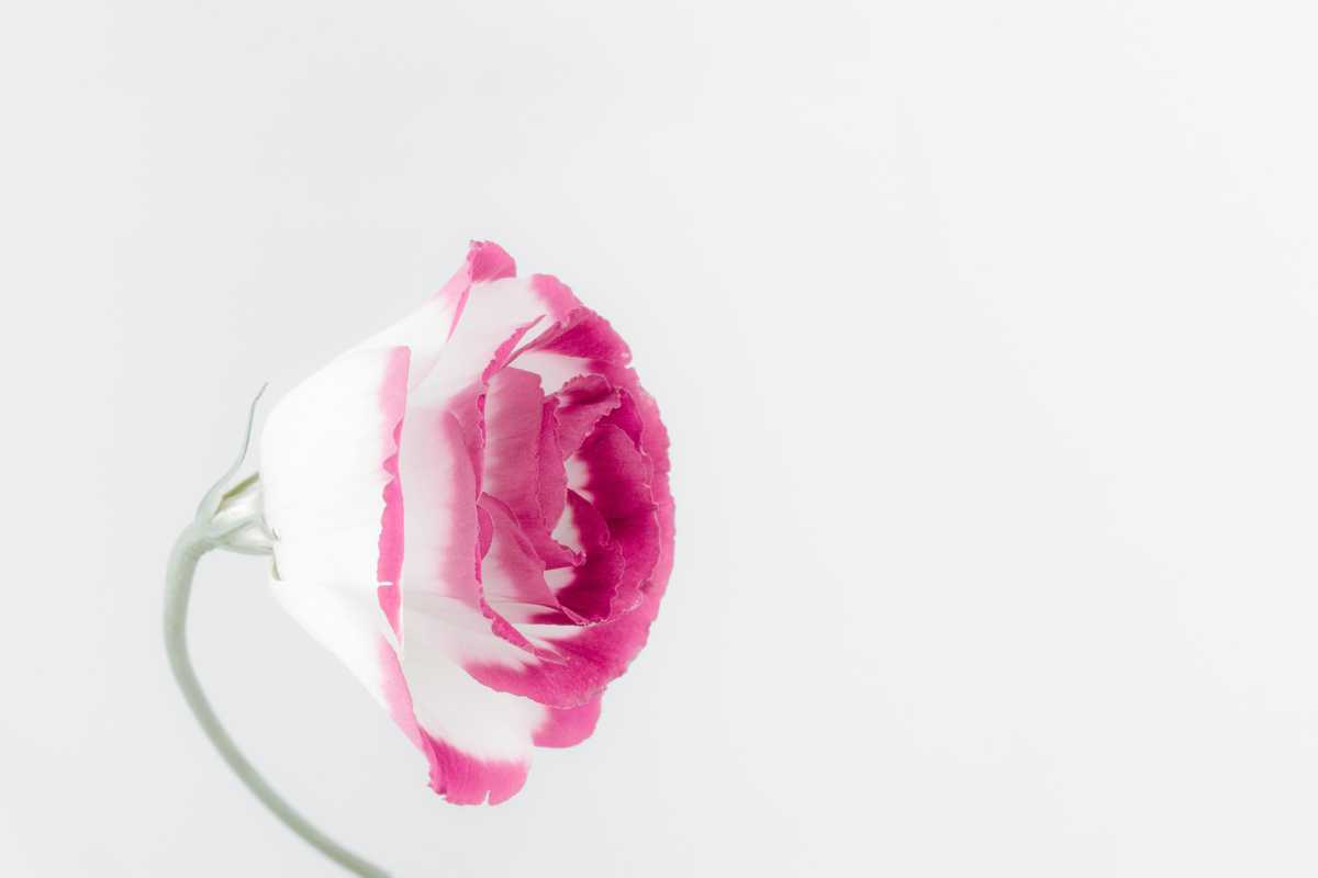 News this week: Start your Monday smart
