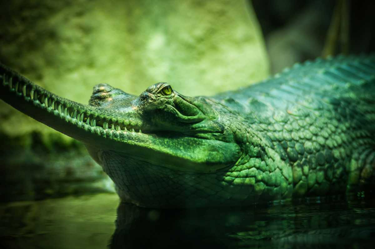 news this week start your monday smart image002