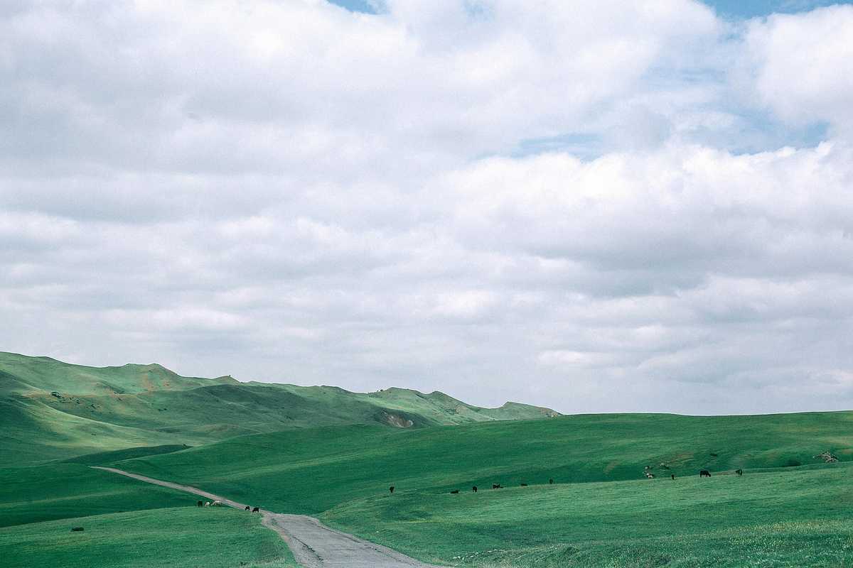 on russia china border selective memory of massacre works for both sides image002