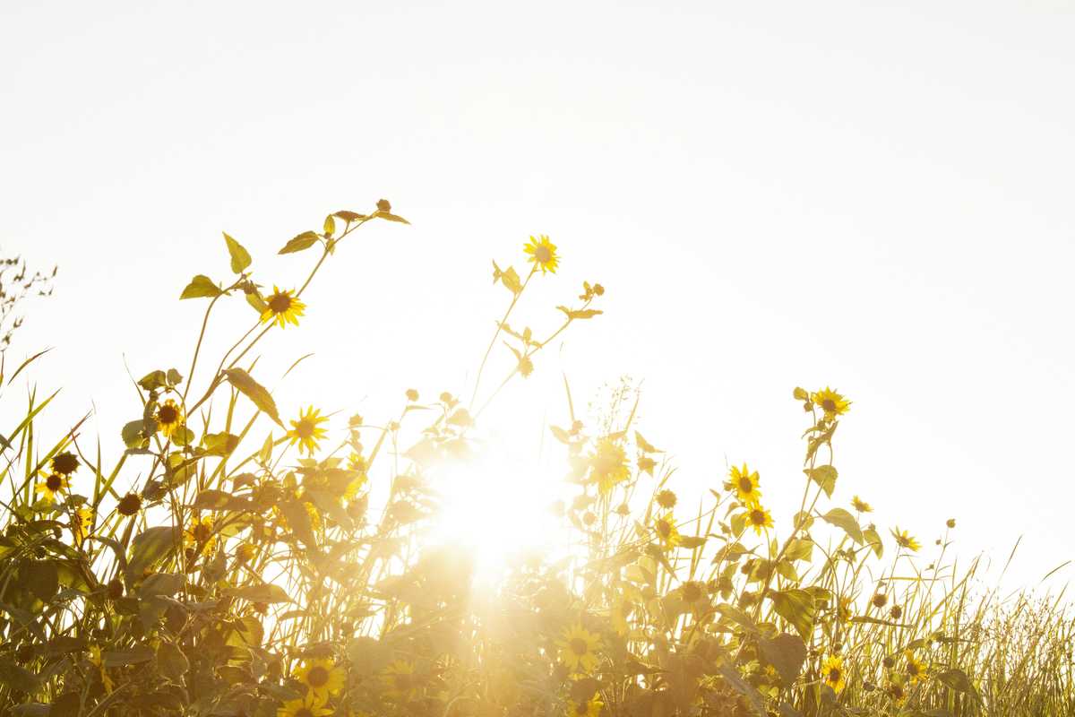 recline in your airplane seat a debate rages in the skies and online image002