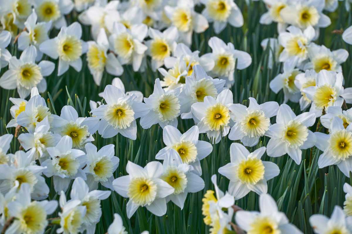 san francisco s top art school plans closing after almost 150 years image003