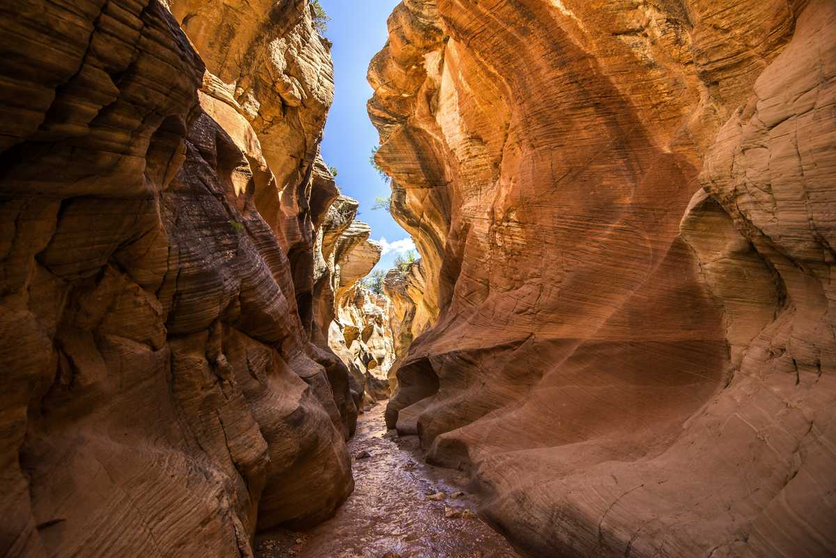 Spring Break: Where to Get the Biggest Bang for Your Buck
