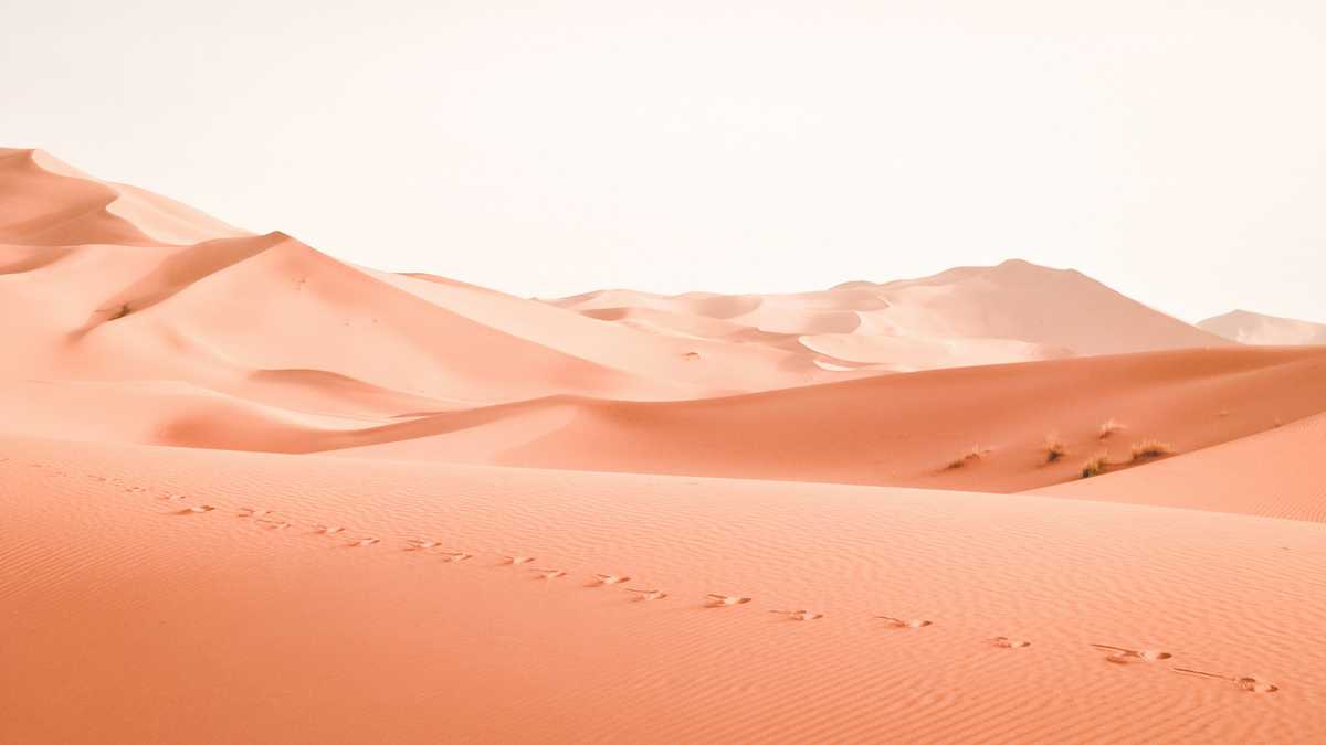 travel and the coronavirus answers to your top questions image003