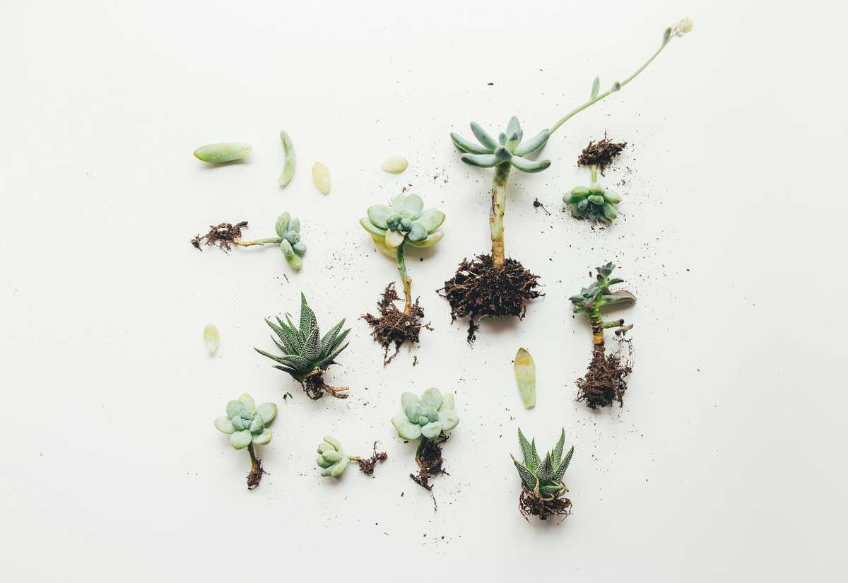 What Coronavirus Isolation Could Do to Your Mind (and Body)