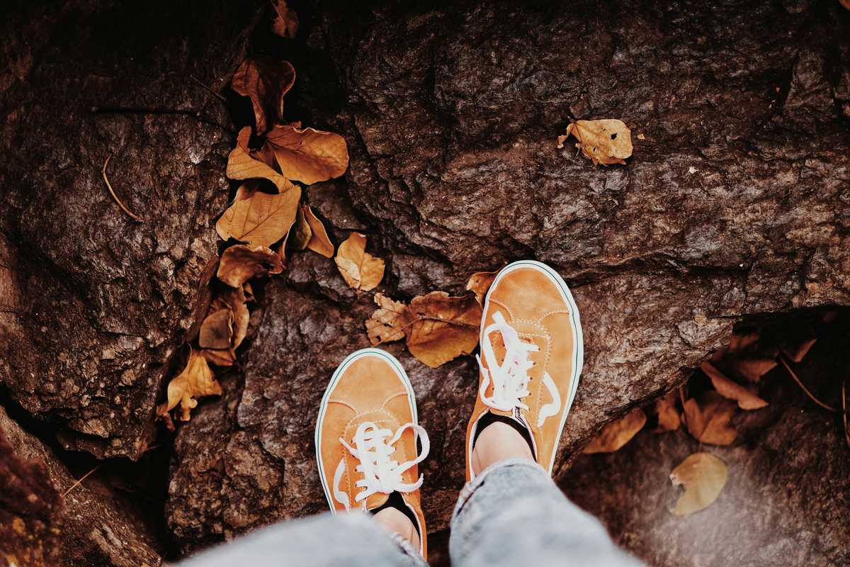 What's Social Distancing? Flattening the Curve? Your Covid-19 Questions, Answered.