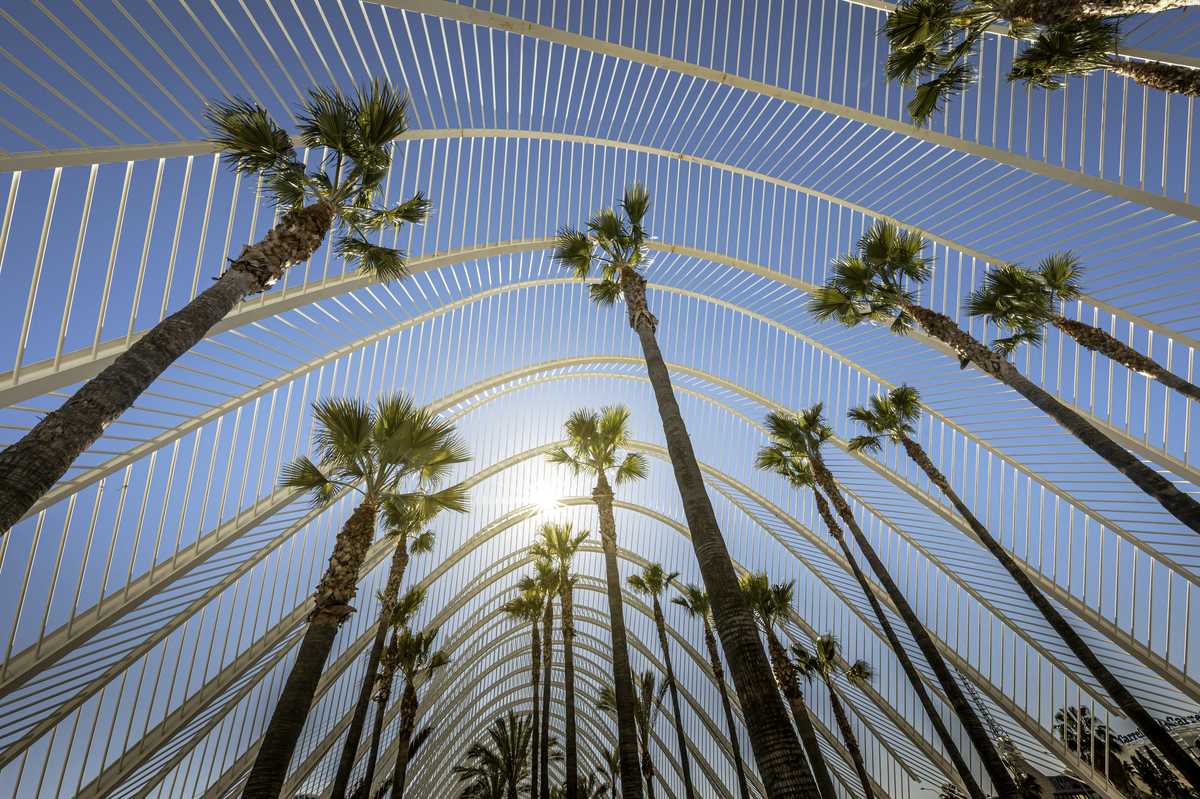 What to Bring on Vacation if You Want to Learn How to Surf