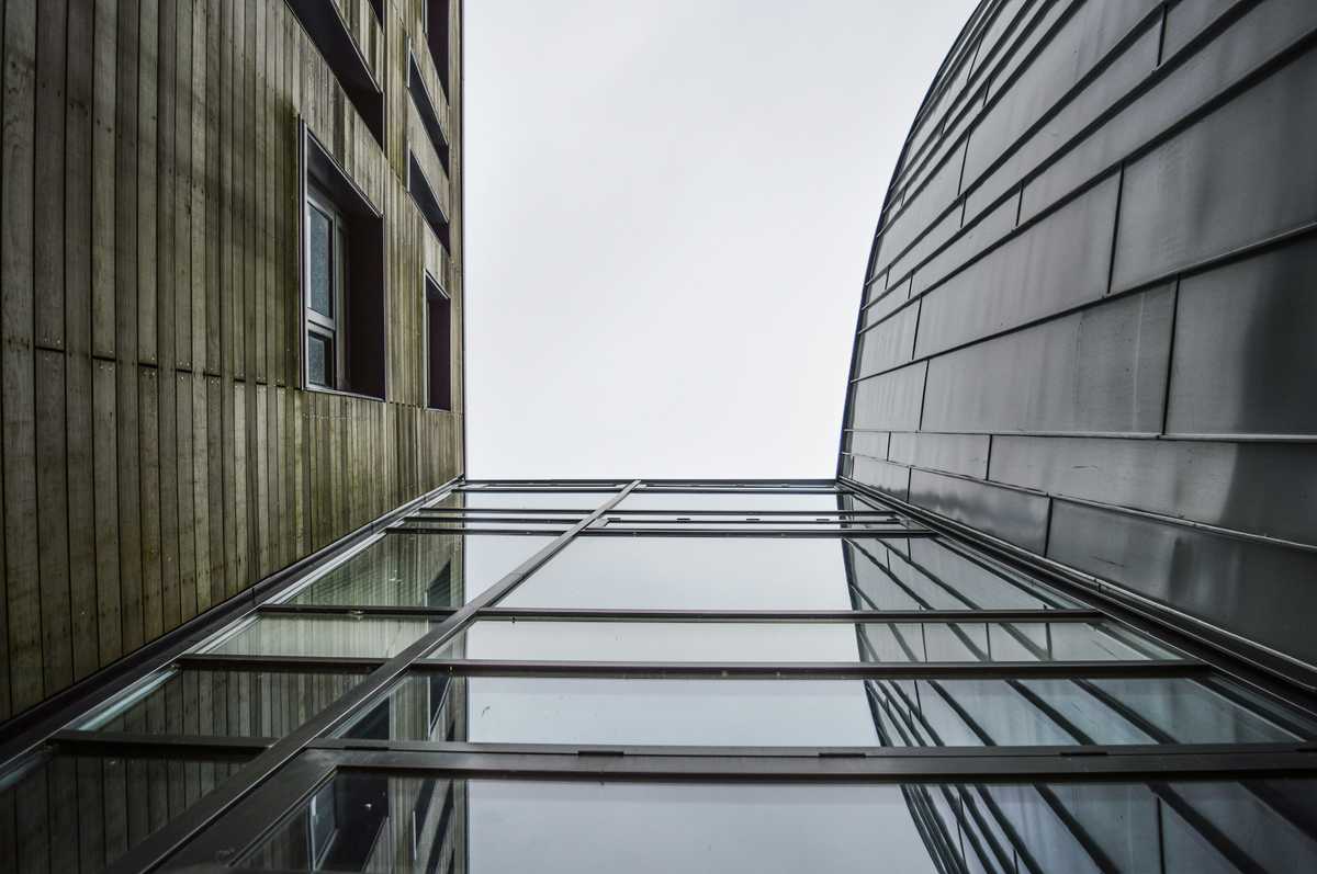 When Mies van der Rohe Went on Trial