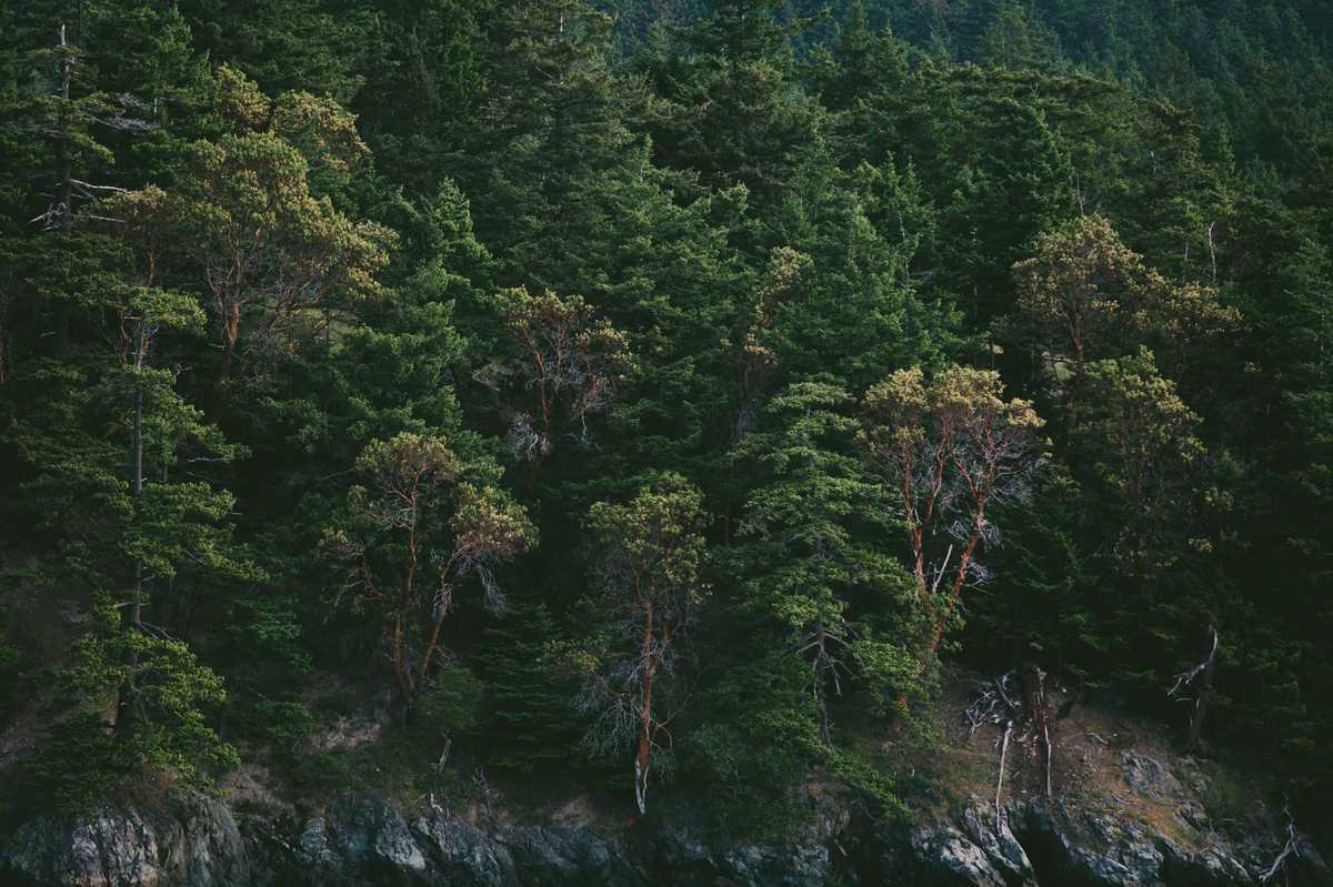 your next vacation paid for with points image003